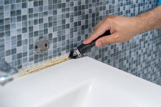 Best Mold Testing  in Cottonwood Shores, TX