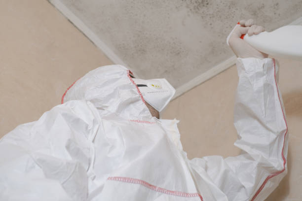 Mold Testing and Removal in Cottonwood Shores, TX